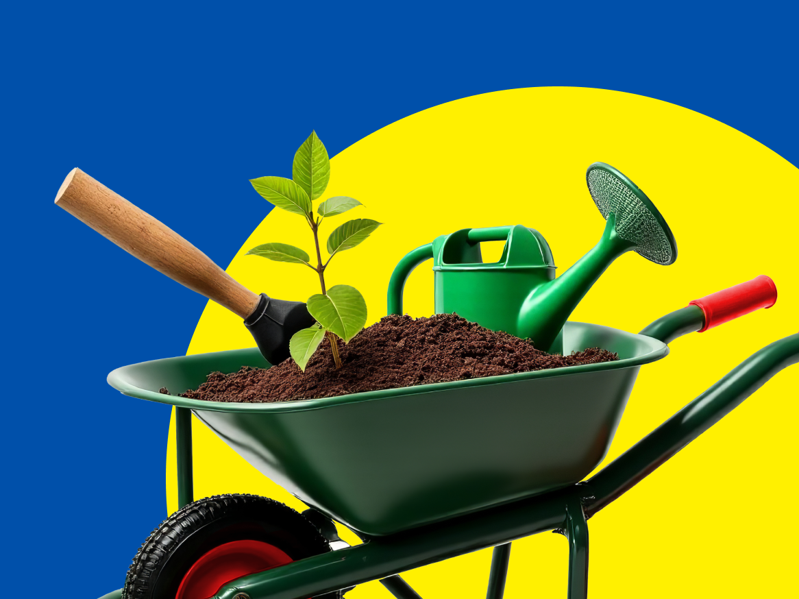 Planta, regador, carrinho de mão e pá.