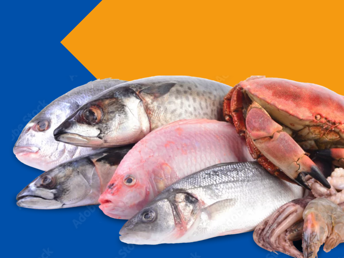 Cavala, snapper, robalo e caranguejo: frutos do mar frescos.