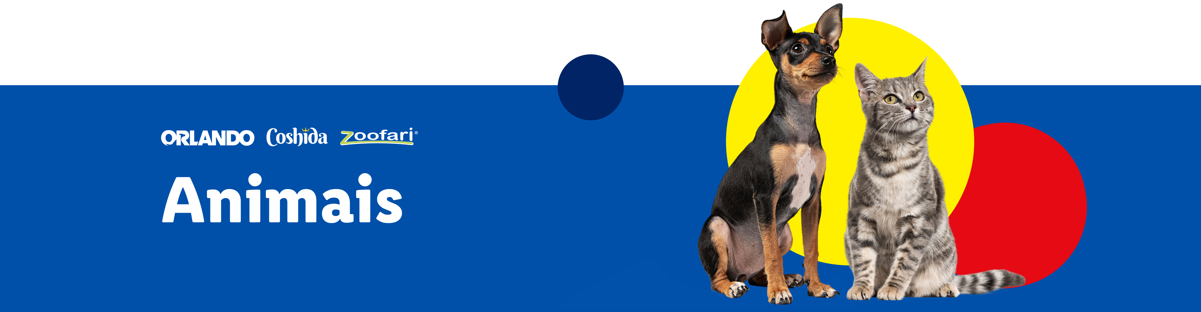 Cão e gato sentados, Zooafari Orlando e Coshida.