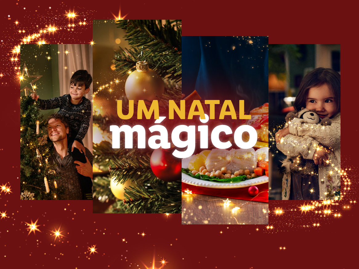 Tudo para o Natal no Lidl