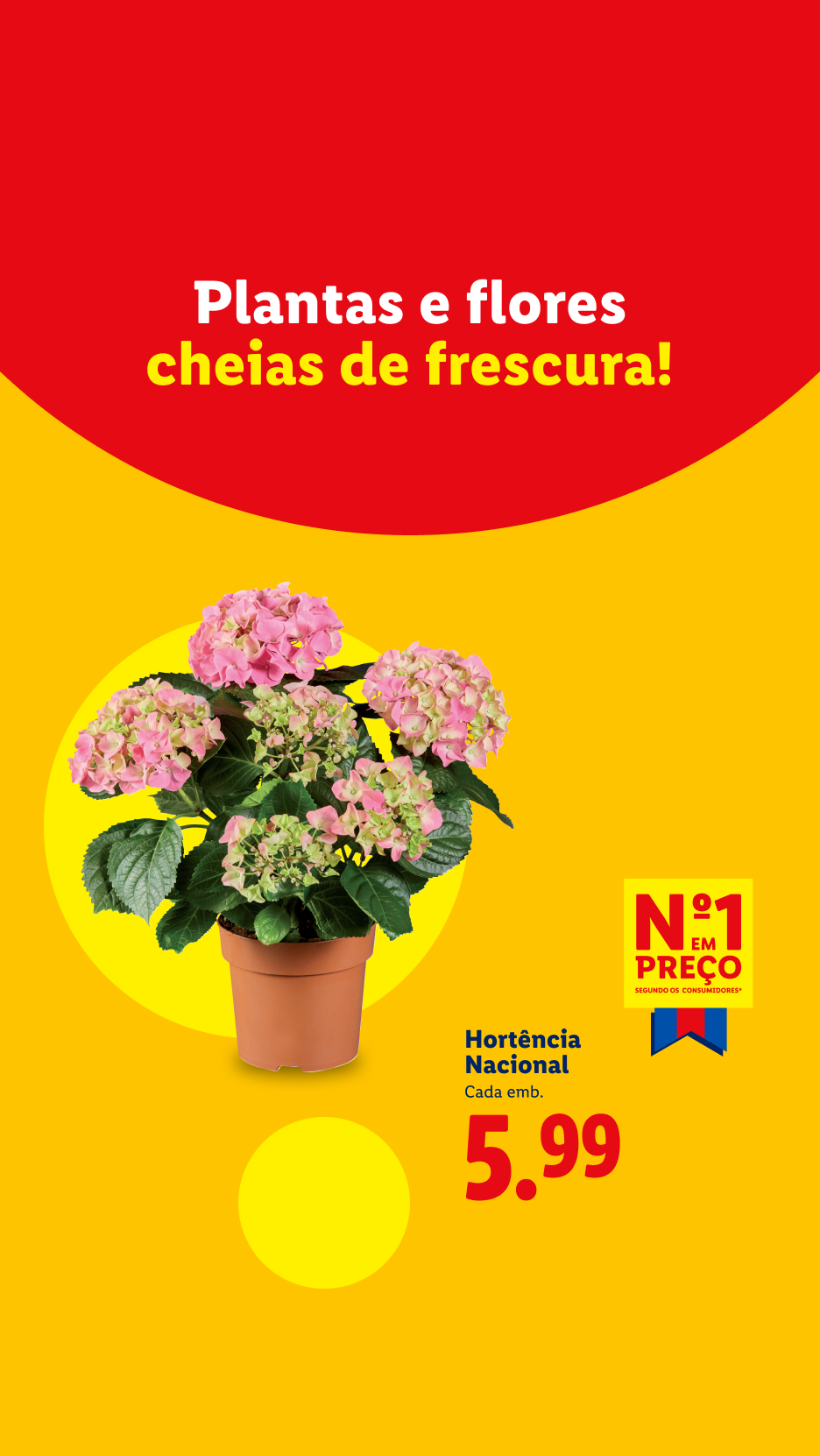 Plantas e flores cheias de frescura, com hortênsia nacional a 5,99€.
