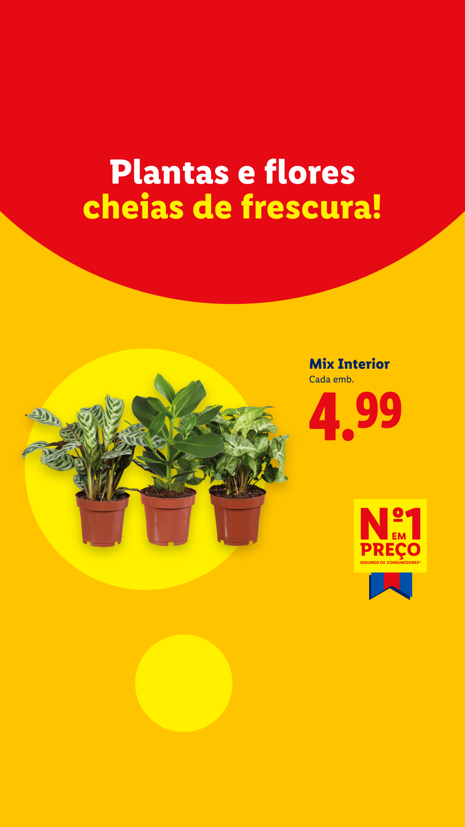 Plantas e flores de interior frescas, com preço de 4,99€, destacadas como nº1 em preço.