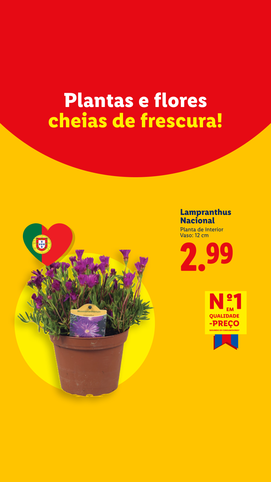 Anúncio de plantas e flores frescas, destacando um Lampranthus Nacional em vaso por 2,99€.