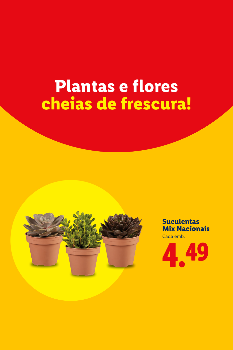 Três suculentas em vasos de terracota, com o texto 'Plantas e flores cheias de frescura!' e 'Suculentas Mix Nacionais Cada emb. 4.49'.