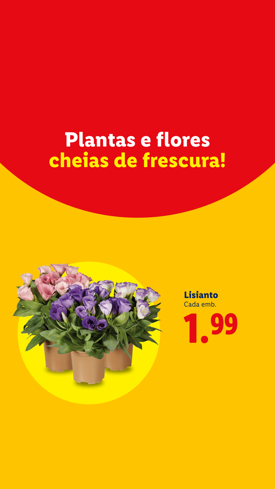 Plantas e flores cheias de frescura, Lisanto a 1,99€ cada emb.