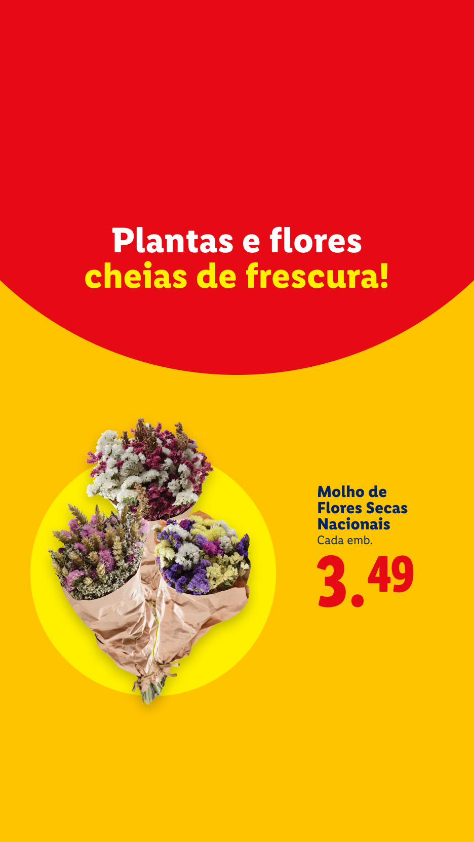 Plantas e flores cheias de frescura, com molho de flores secas nacionais a 3,49€.